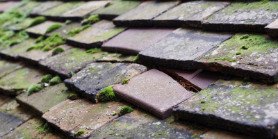 Ravenshead roof repair costs